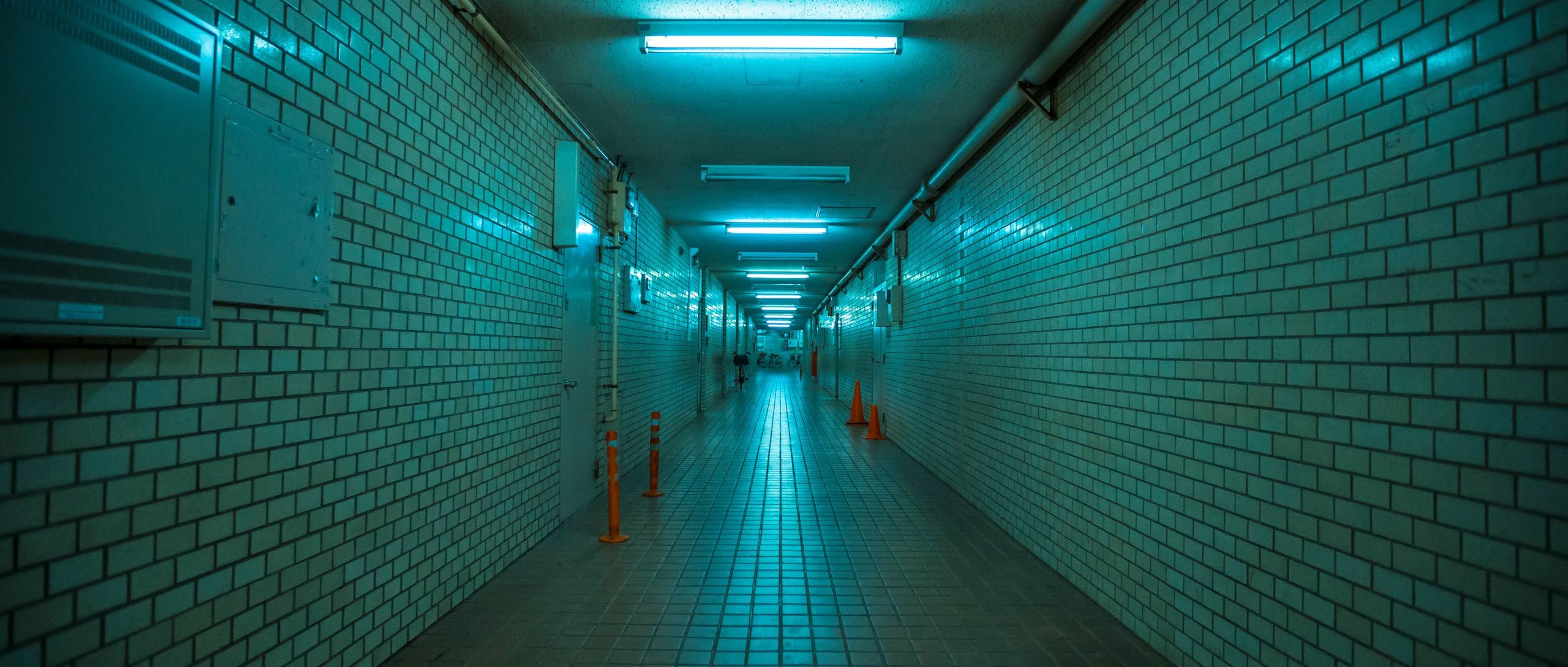 ALT_P_JAPAN_TOKYO_2_010