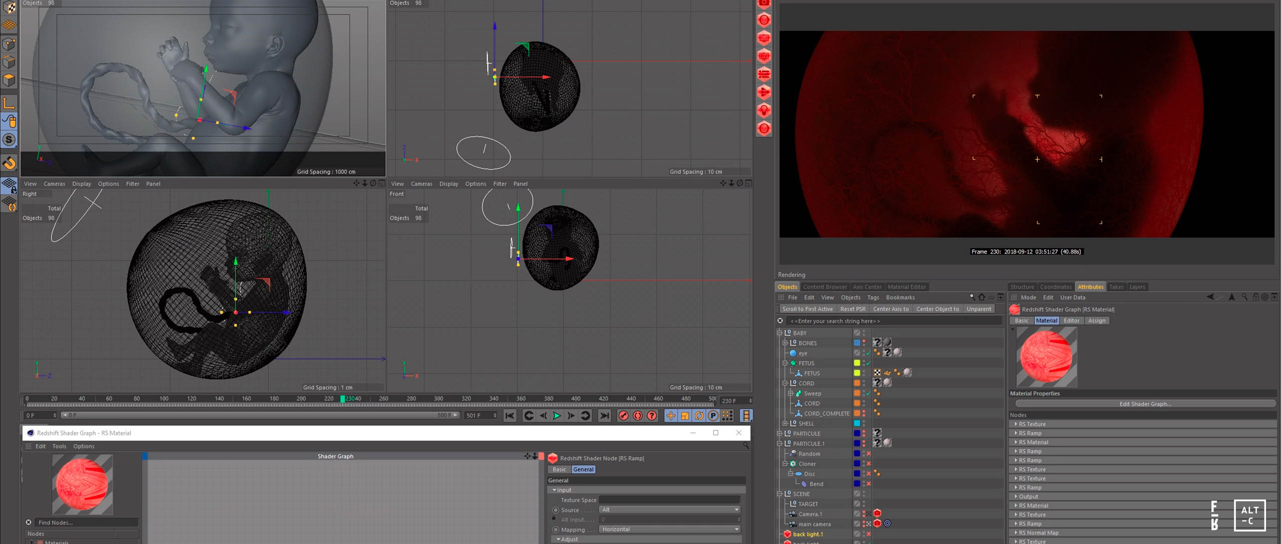 FETUS_PROCESS_FRAMES_2560_AT_012