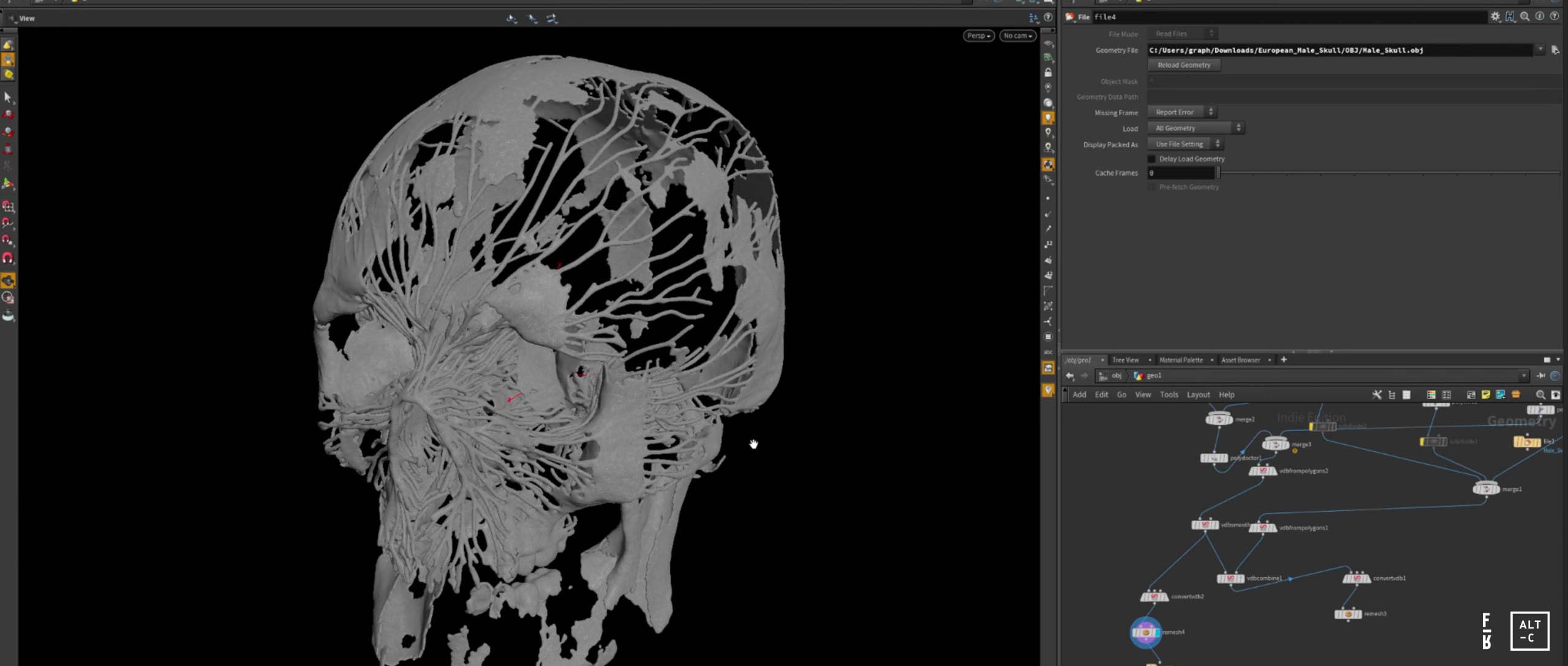 SKULL_PROCESS_FRAMES_2560_AT_002