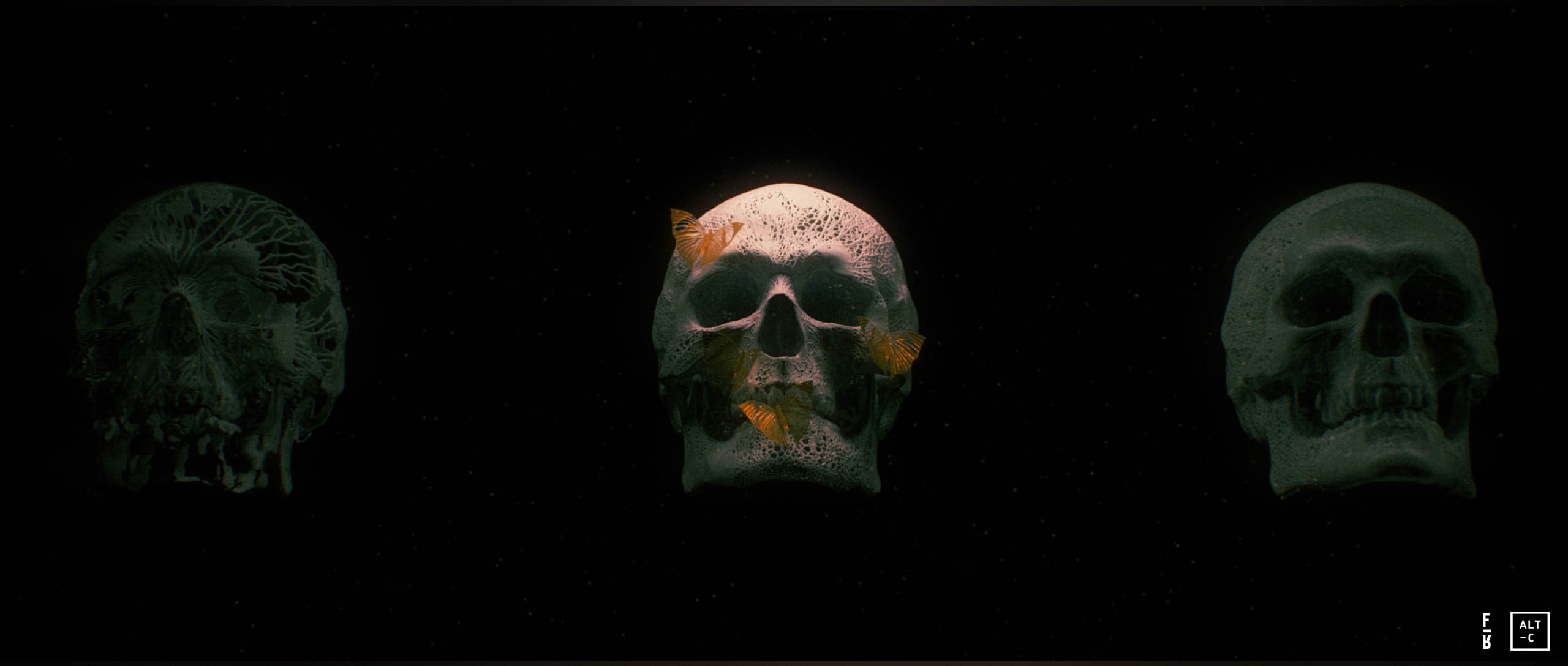 SKULL_PROCESS_FRAMES_2560_AT_007