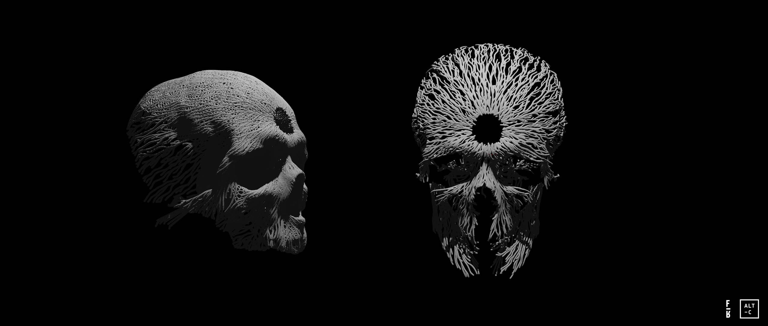 SKULL_PROCESS_FRAMES_2560_AT_008